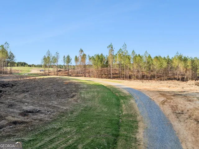 a view of a backyard with swimming pool