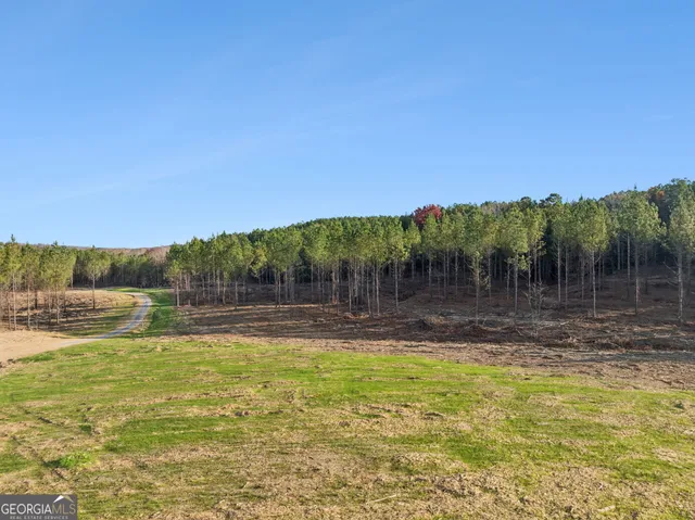 a view of a field with trees in the background