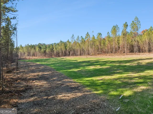 a view of a park with large trees