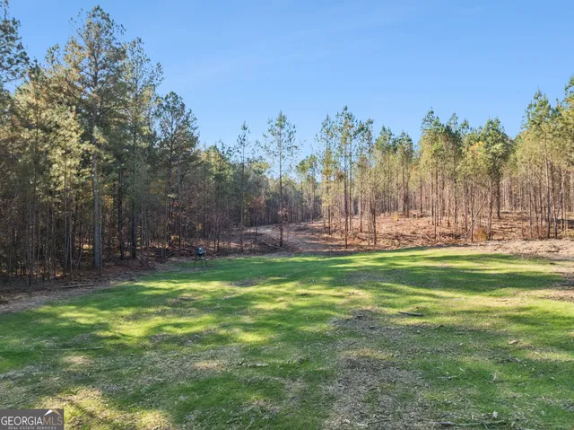 a view of a grassy field with trees in the background