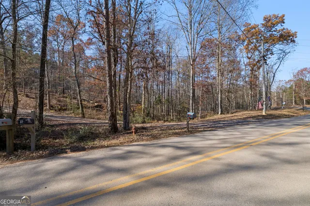a view of a park with large trees