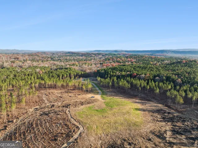 a view of a lake with a city