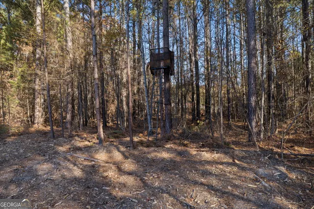 $299,900 | 0 Ben Mosley Circle, Summerville, GA 30747