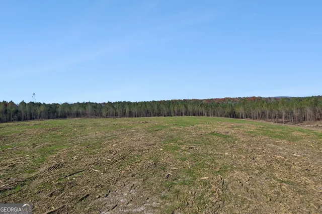 $299,900 | 0 Ben Mosley Circle, Summerville, GA 30747