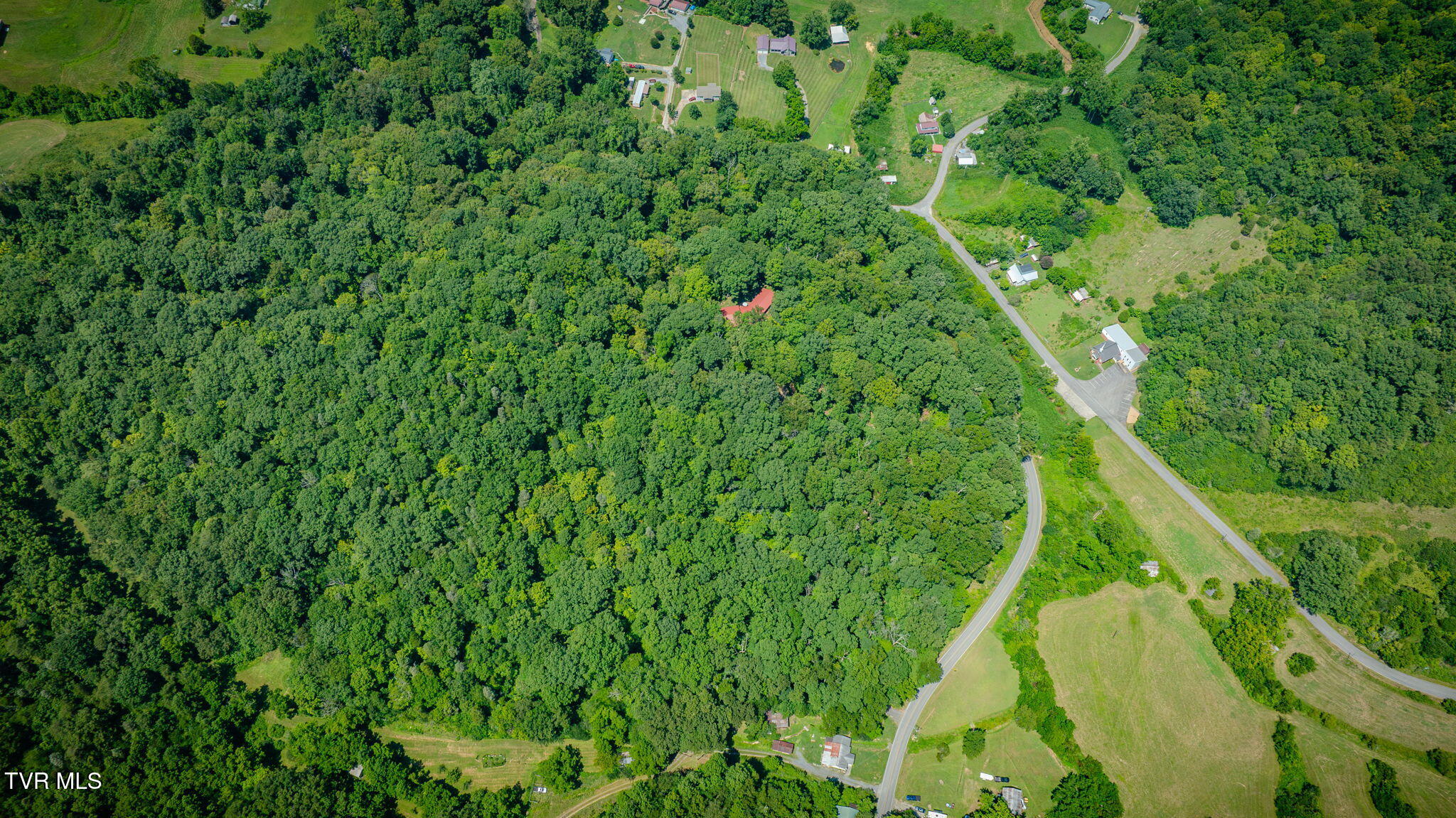 1236 Goshen Valley Road Church Hill, TN 37642 - Photo 42 of 47 101