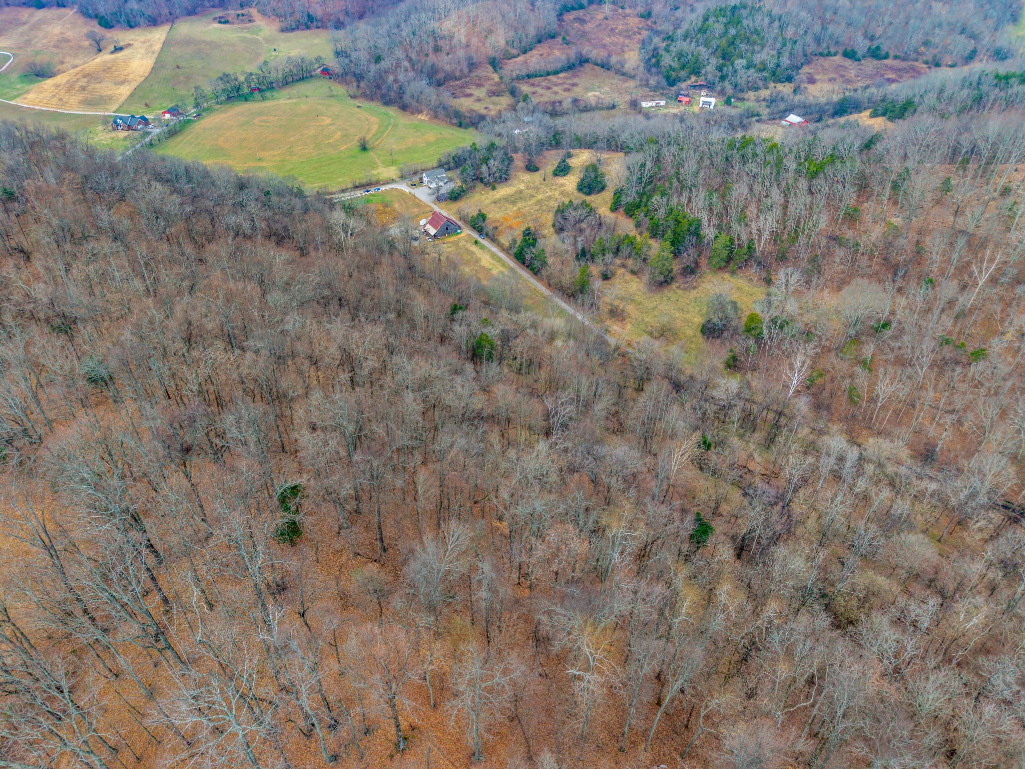 3039 Pigg Hollow Road Petersburg, TN 37144 - Photo 7 of 38 a view of a backyard with plants