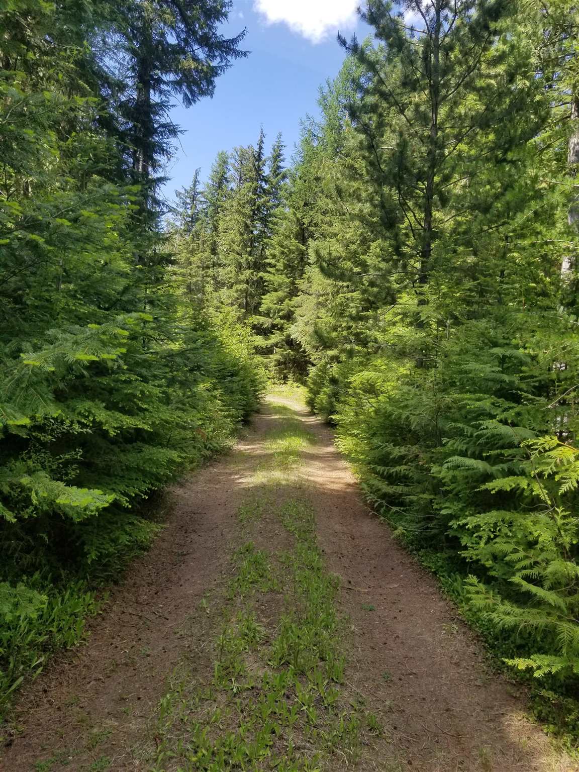 Nna Kings Lake Road Usk, WA 99180 - Photo 1 of 4