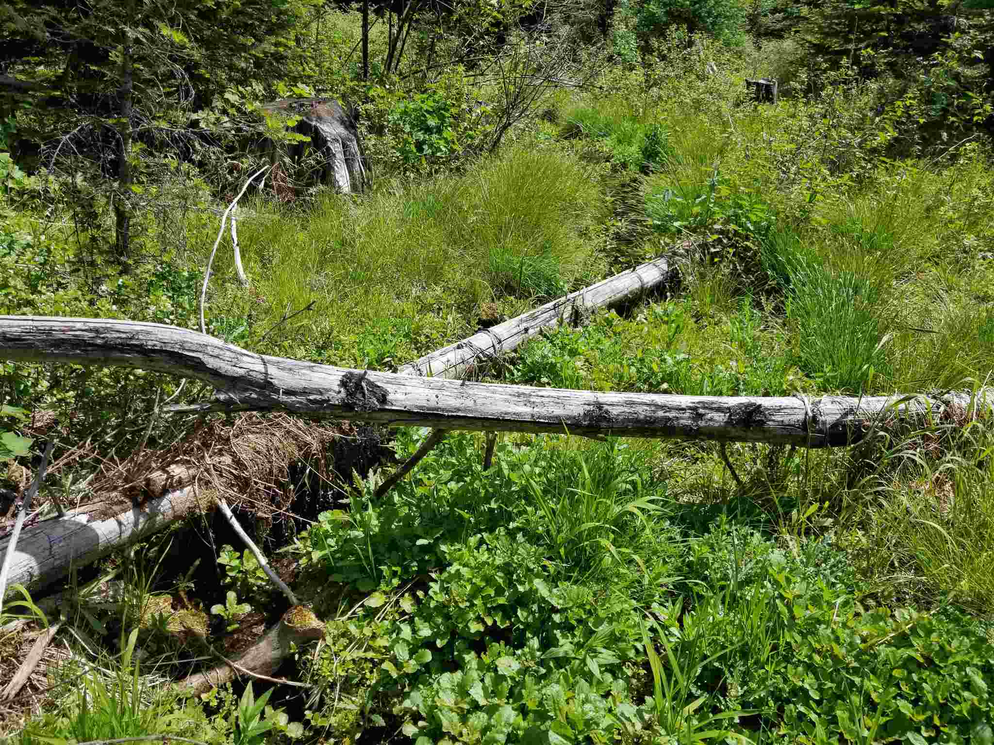 Nna Kings Lake Road Usk, WA 99180 - Photo 2 of 4