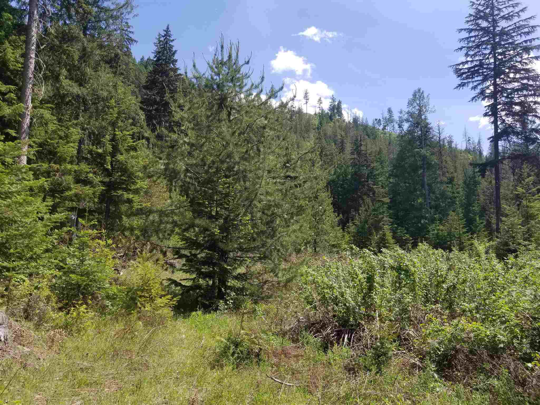 Nna Kings Lake Road Usk, WA 99180 - Photo 4 of 4