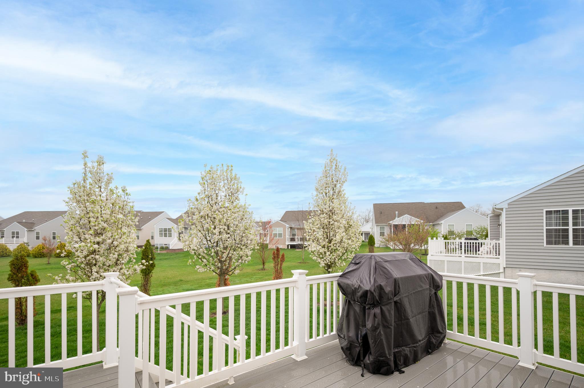 173 Silver Maple Road Middletown, DE 19709 - Photo 36 of 36 a view of a city from a balcony