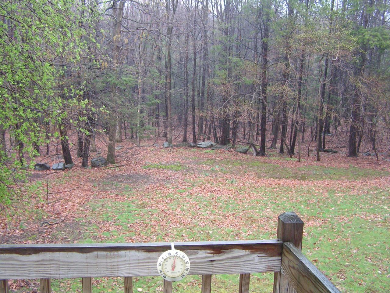 590 Fish Hill Road Tannersville, PA 18372 - Photo 2 of 12 back yard