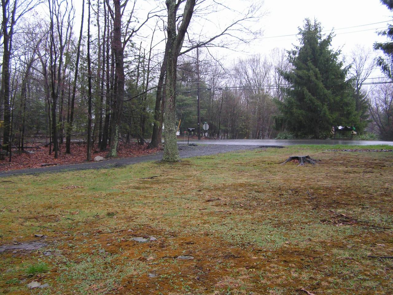 590 Fish Hill Road Tannersville, PA 18372 - Photo 3 of 12 front yard to street/circular driveway