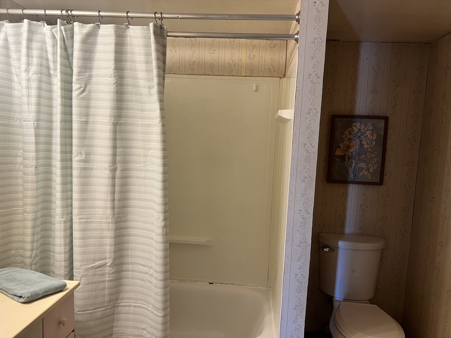 207 Southwest 6th Street Atlanta, IL 61723 - Photo 14 of 22