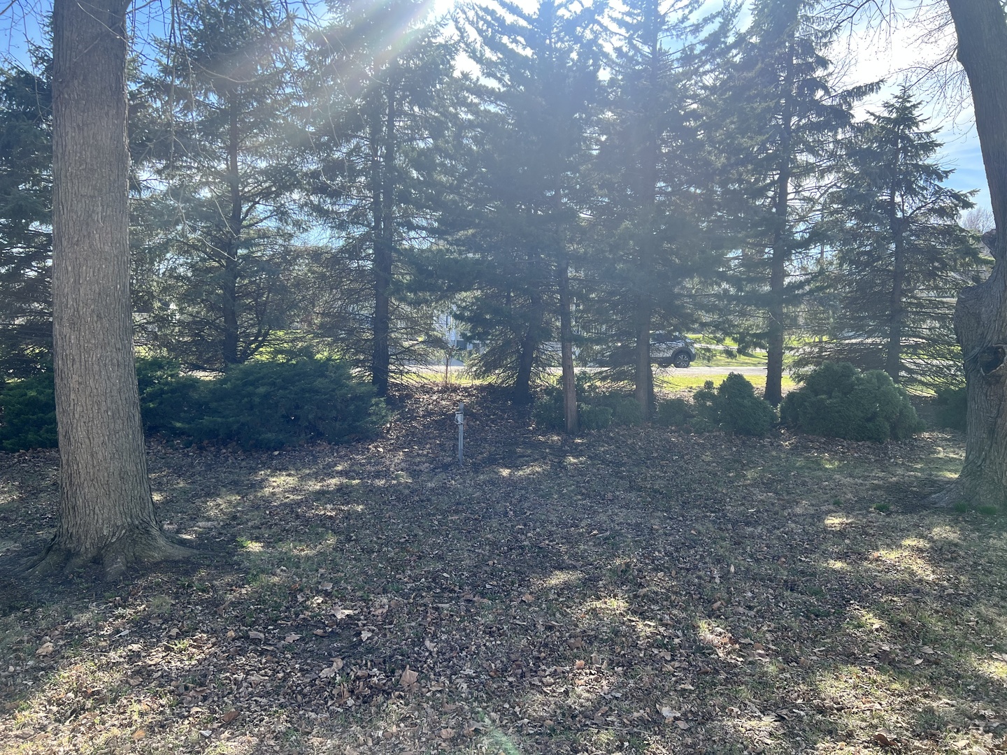 207 Southwest 6th Street Atlanta, IL 61723 - Photo 18 of 22