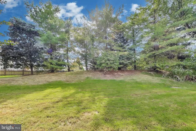 a view of yard with swimming pool and green space