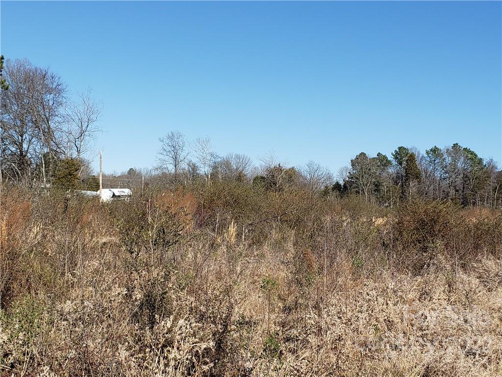 330 Porter Road Rock Hill, SC 29730 - Photo 15 of 32 a view of a yard