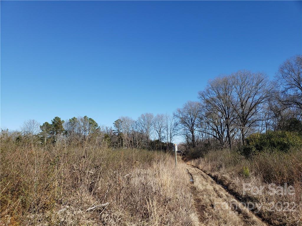 330 Porter Road Rock Hill, SC 29730 - Photo 17 of 32 a view of a yard with a tree