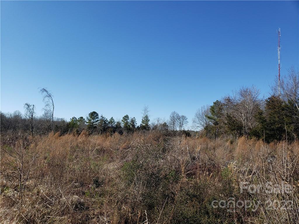 330 Porter Road Rock Hill, SC 29730 - Photo 18 of 32 a view of a yard and mountain