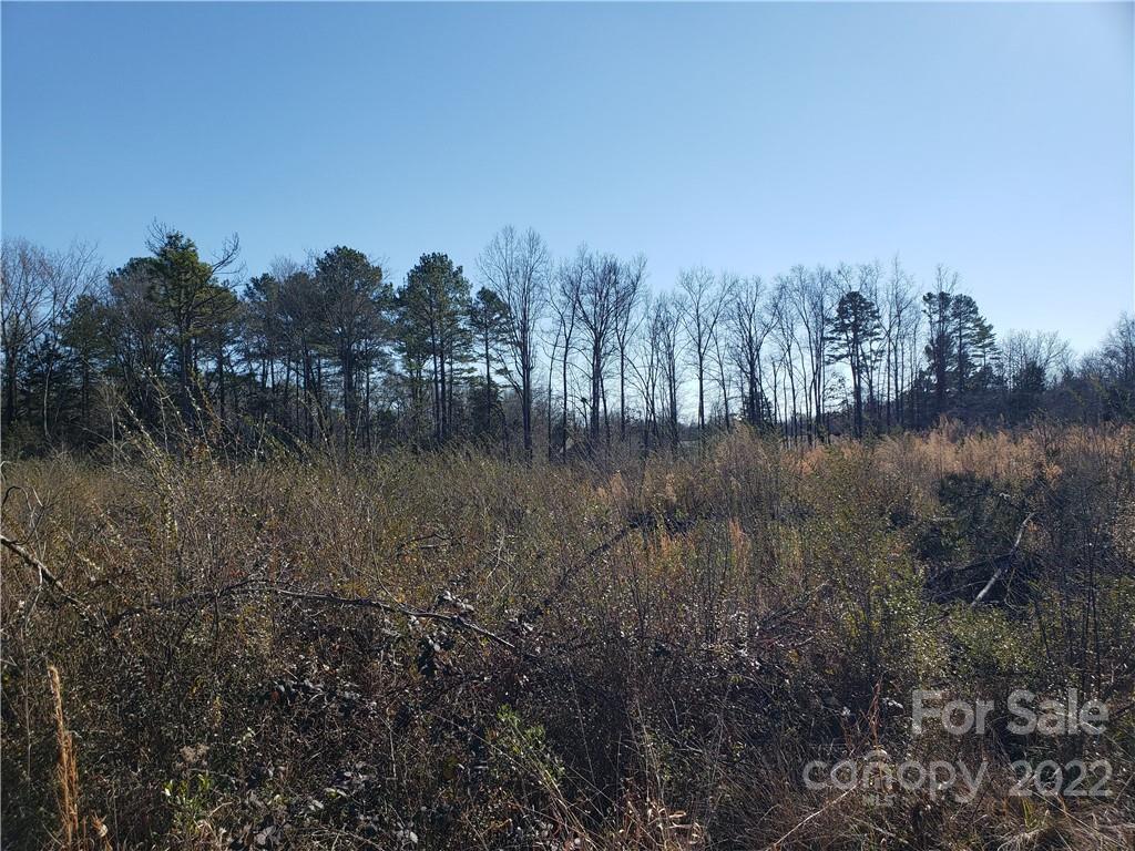 330 Porter Road Rock Hill, SC 29730 - Photo 19 of 32 a view of river covered by trees and trees