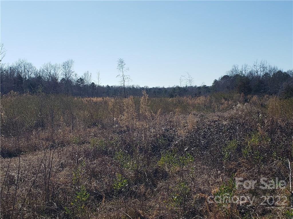 330 Porter Road Rock Hill, SC 29730 - Photo 20 of 32 a view of a forest next to a large trees