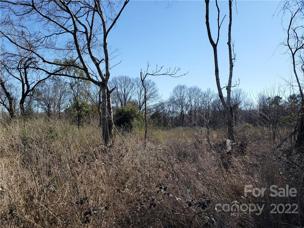 330 Porter Road Rock Hill, SC 29730 - Photo 21 of 32 a backyard of a house with lots of green space