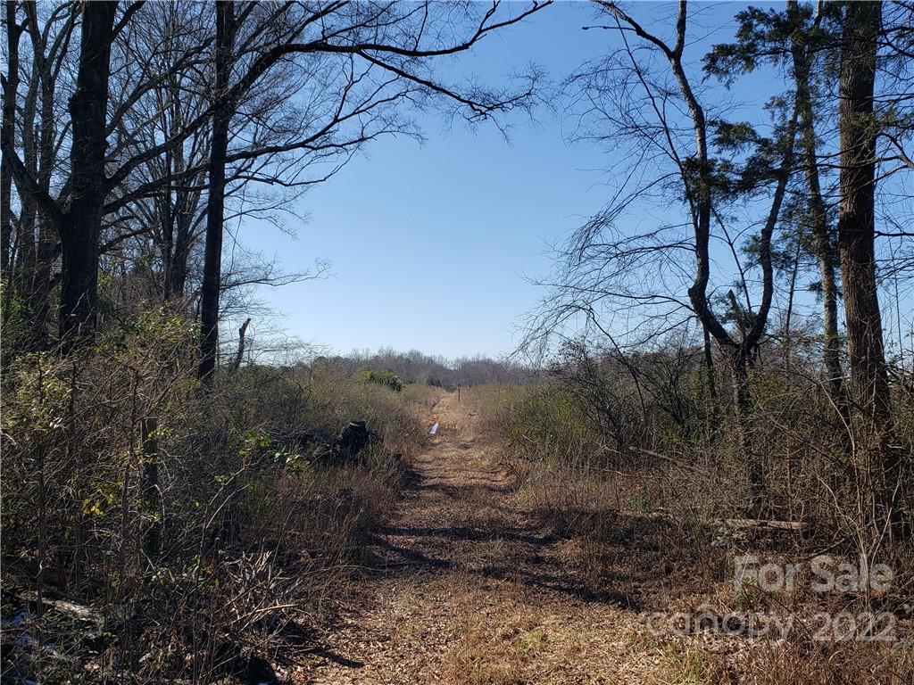 330 Porter Road Rock Hill, SC 29730 - Photo 22 of 32 a view of a yard with a tree