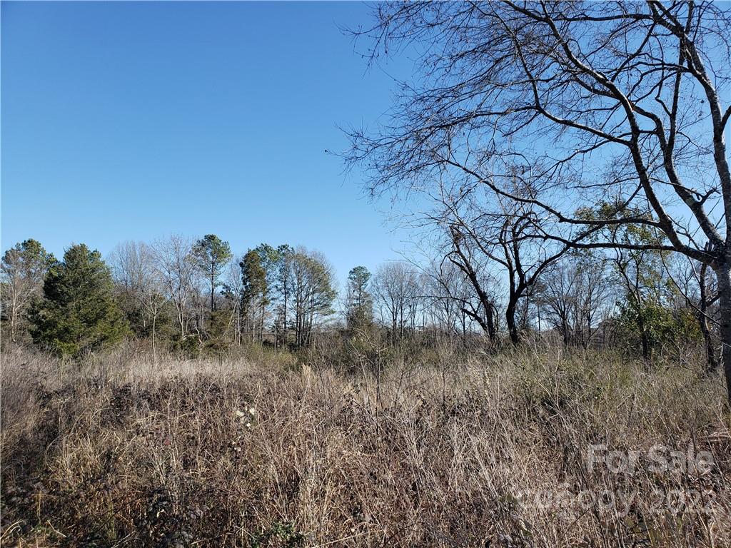 330 Porter Road Rock Hill, SC 29730 - Photo 25 of 32 a view of a yard in a forest
