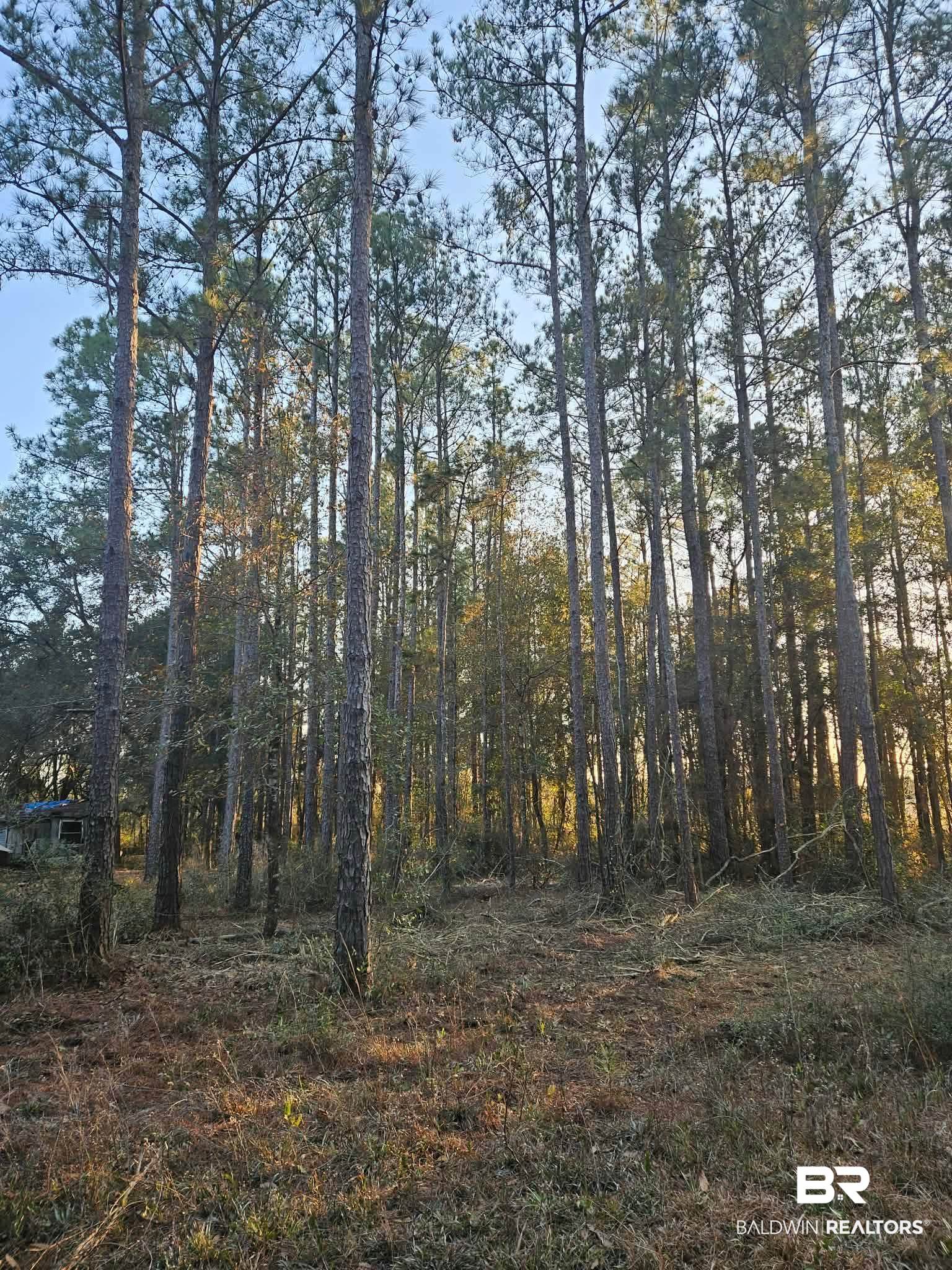 0 Gardner Road Elberta, AL 36530 - Photo 2 of 9