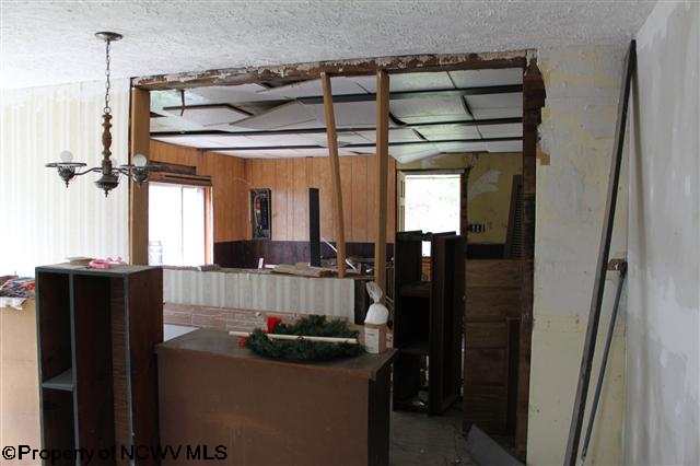 166 Bergoo Road Webster Springs, WV 26288 - Photo 3 of 12 Gallery Image 3