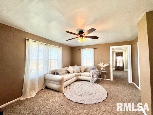 2058 250th Street Bennett, IA 52721 - Photo 32 of 52 Gallery Image 32