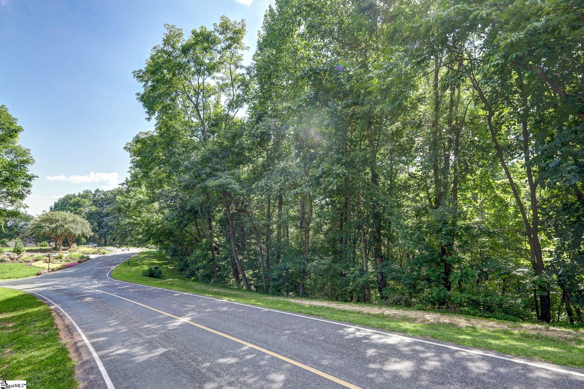 0 Moss Pink Way Landrum, SC 29356 - Photo 11 of 49