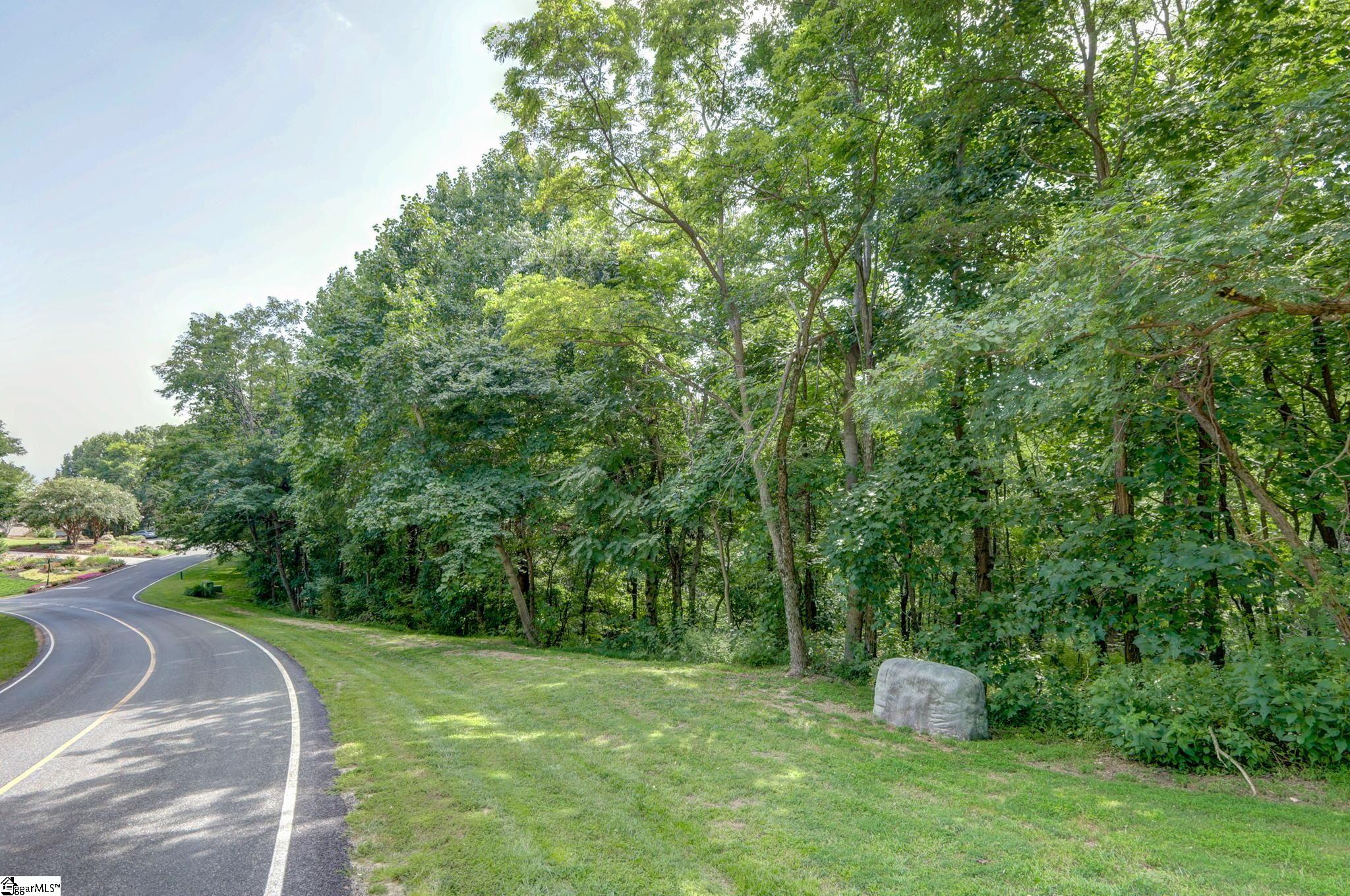 0 Moss Pink Way Landrum, SC 29356 - Photo 12 of 49