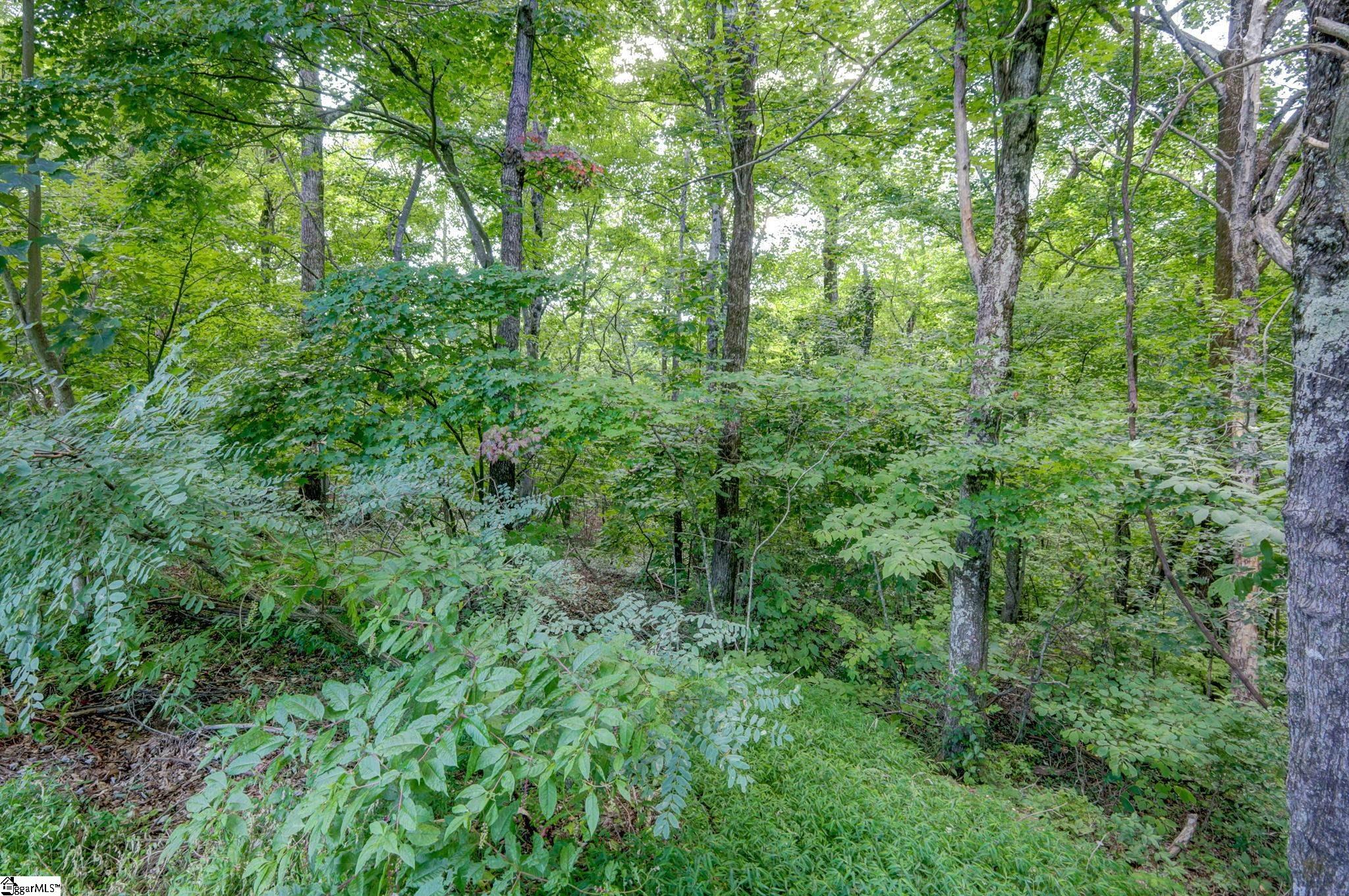 0 Moss Pink Way Landrum, SC 29356 - Photo 13 of 49