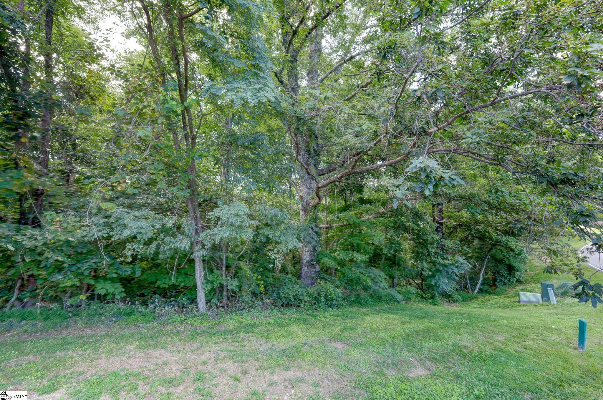 0 Moss Pink Way Landrum, SC 29356 - Photo 14 of 49