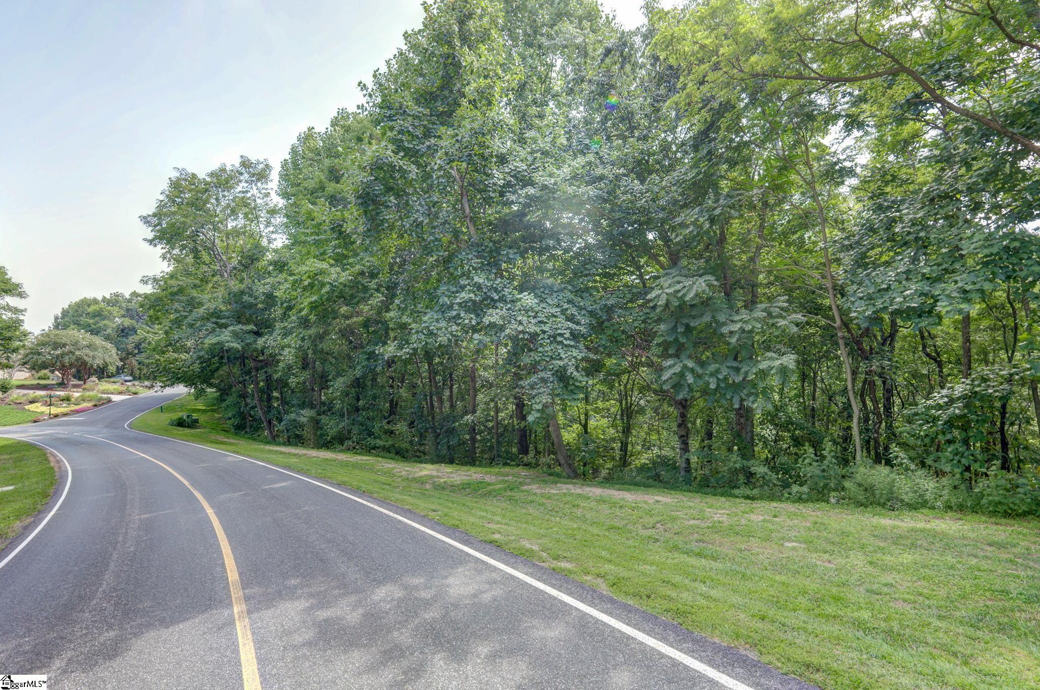 0 Moss Pink Way Landrum, SC 29356 - Photo 15 of 49