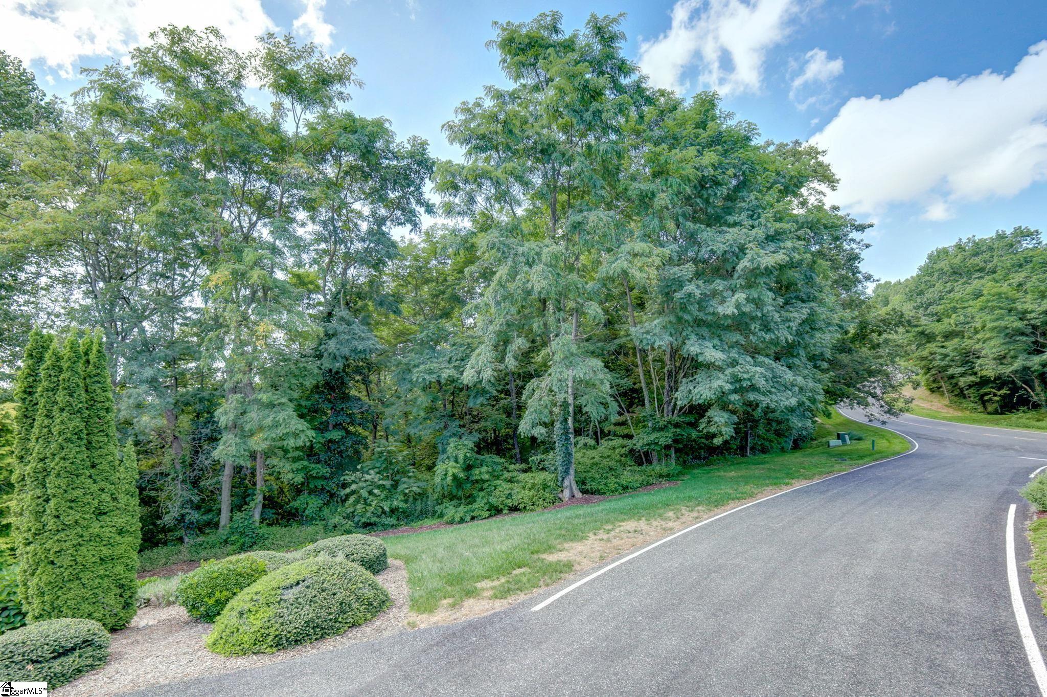 0 Moss Pink Way Landrum, SC 29356 - Photo 16 of 49