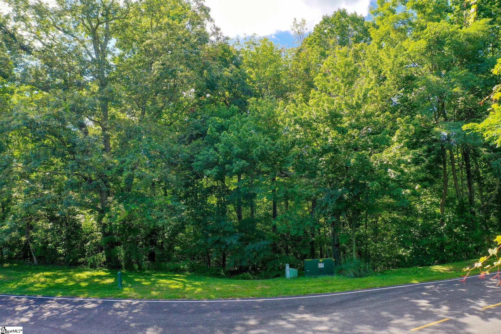 0 Moss Pink Way Landrum, SC 29356 - Photo 18 of 49