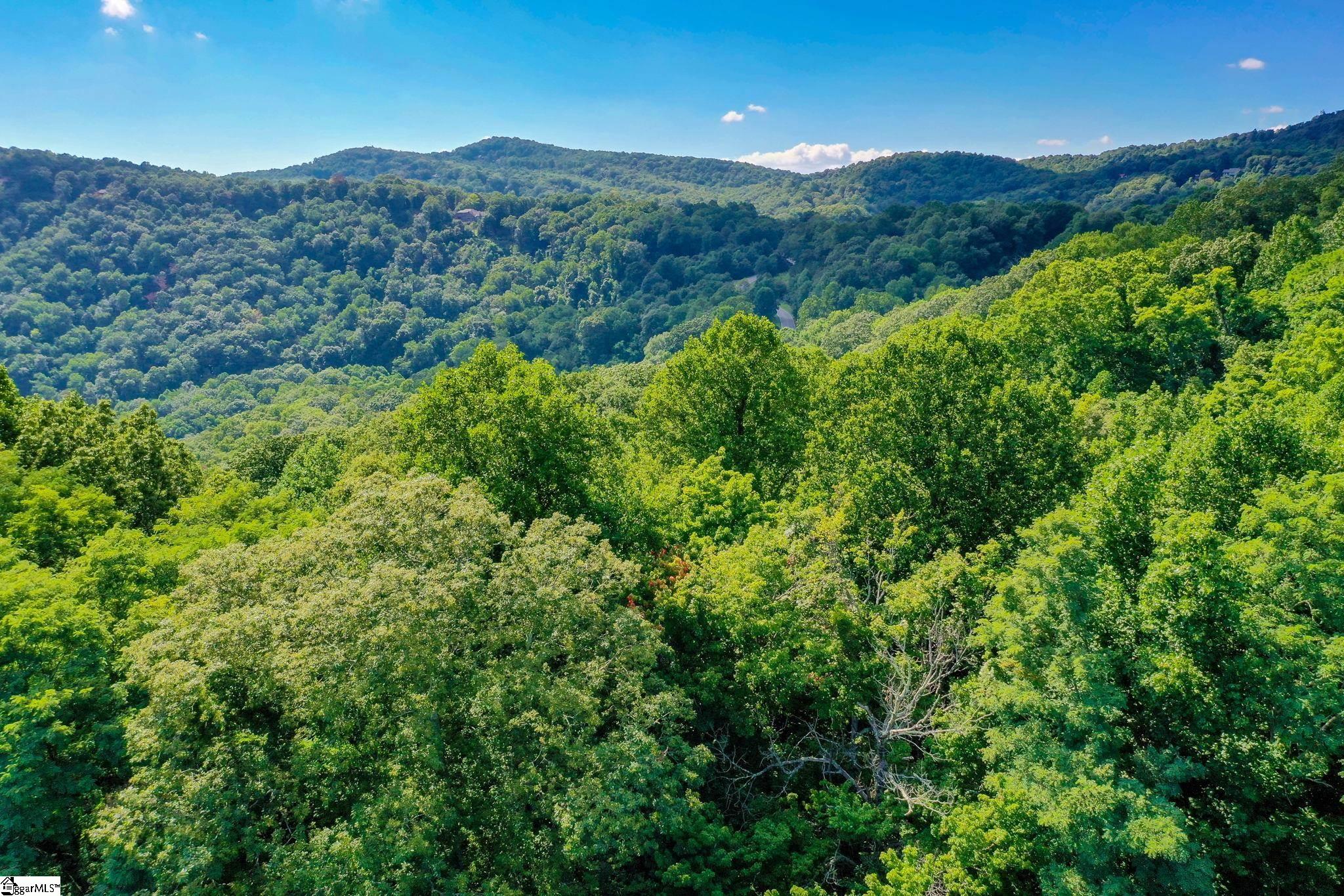 0 Moss Pink Way Landrum, SC 29356 - Photo 19 of 49