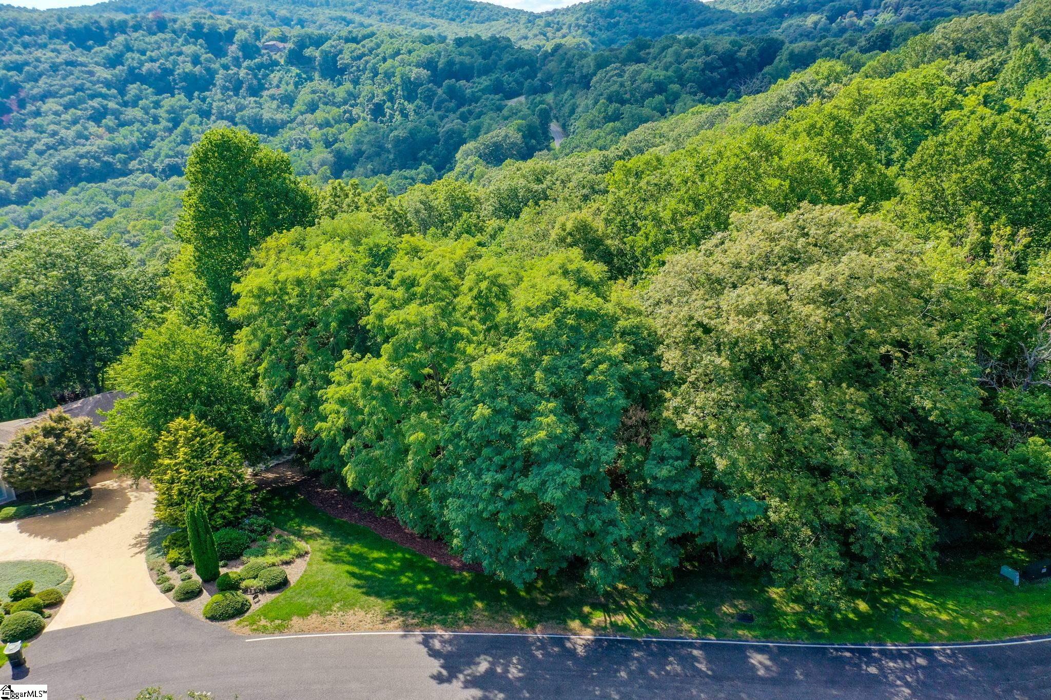 0 Moss Pink Way Landrum, SC 29356 - Photo 20 of 49