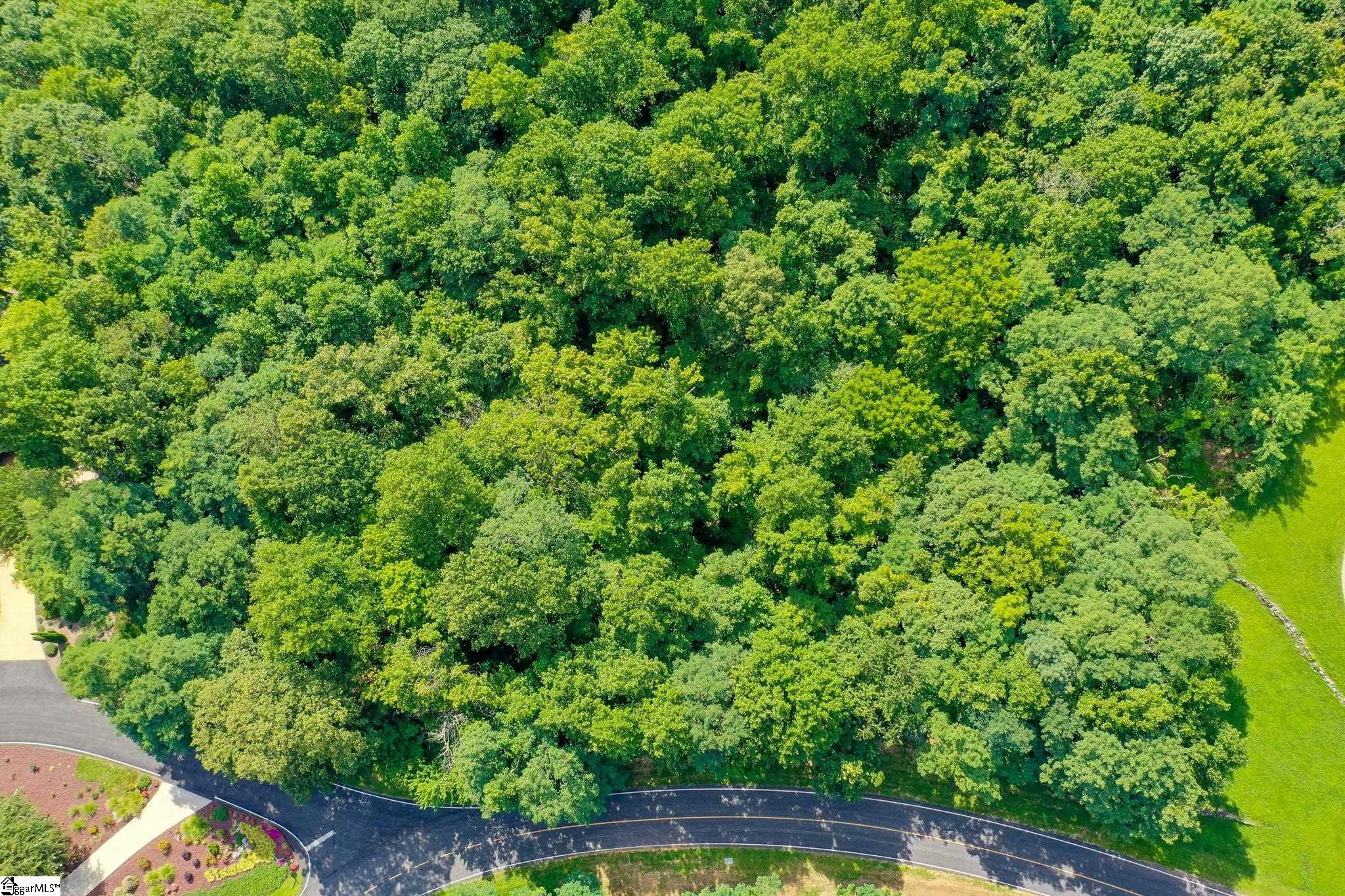 0 Moss Pink Way Landrum, SC 29356 - Photo 2 of 49