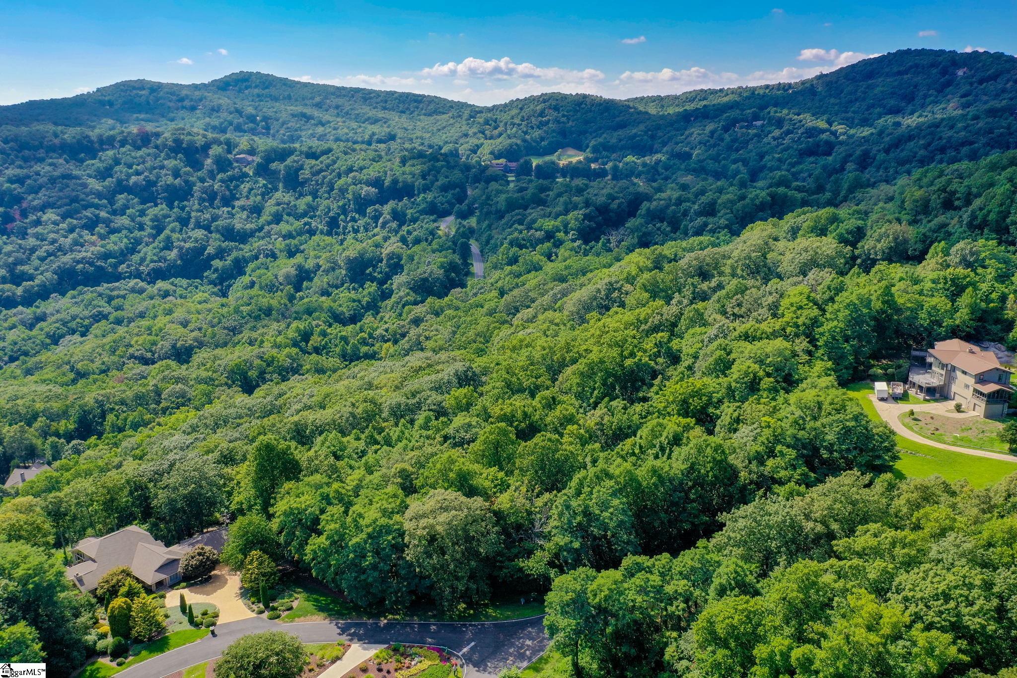0 Moss Pink Way Landrum, SC 29356 - Photo 22 of 49