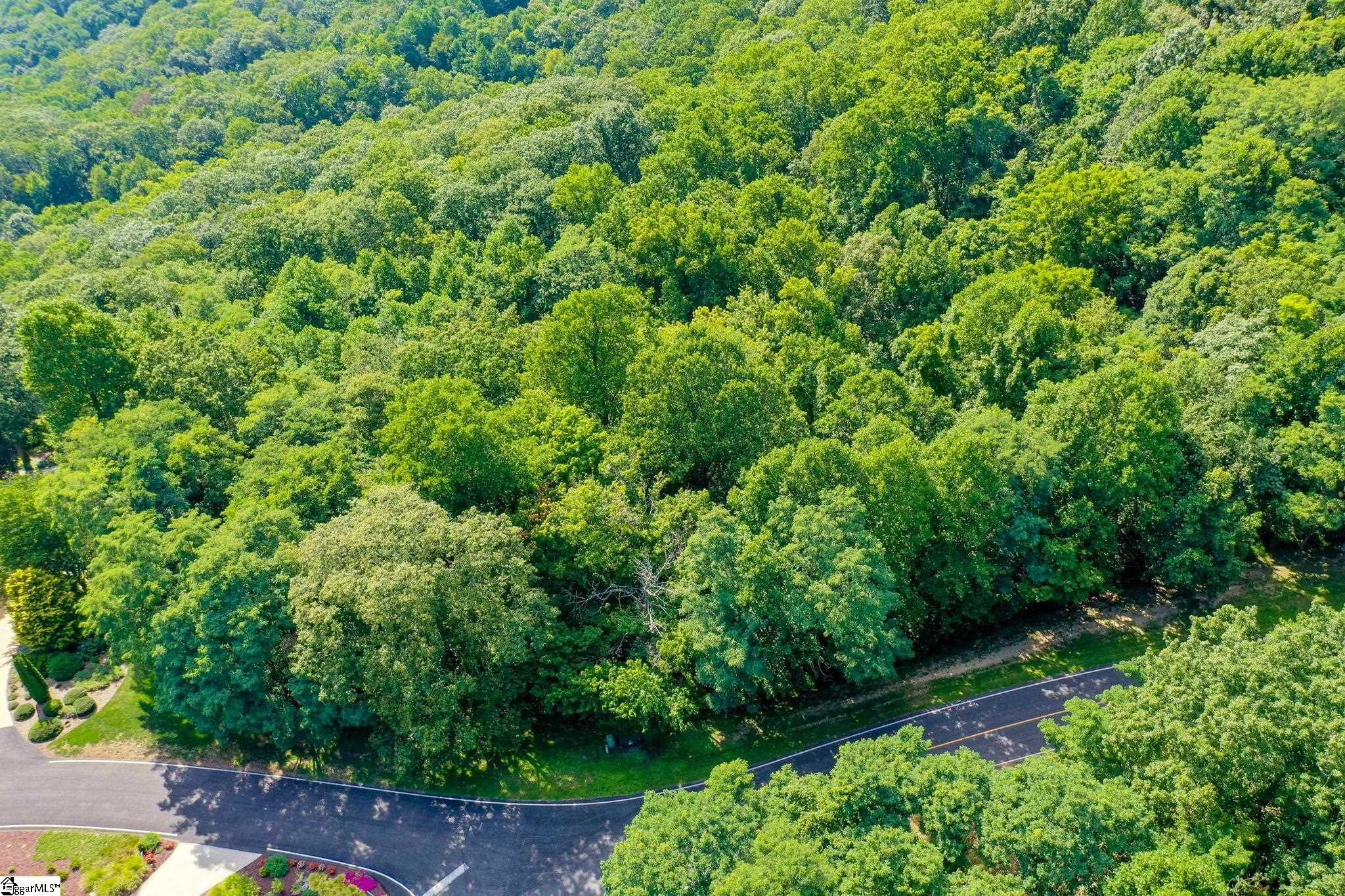 0 Moss Pink Way Landrum, SC 29356 - Photo 23 of 49