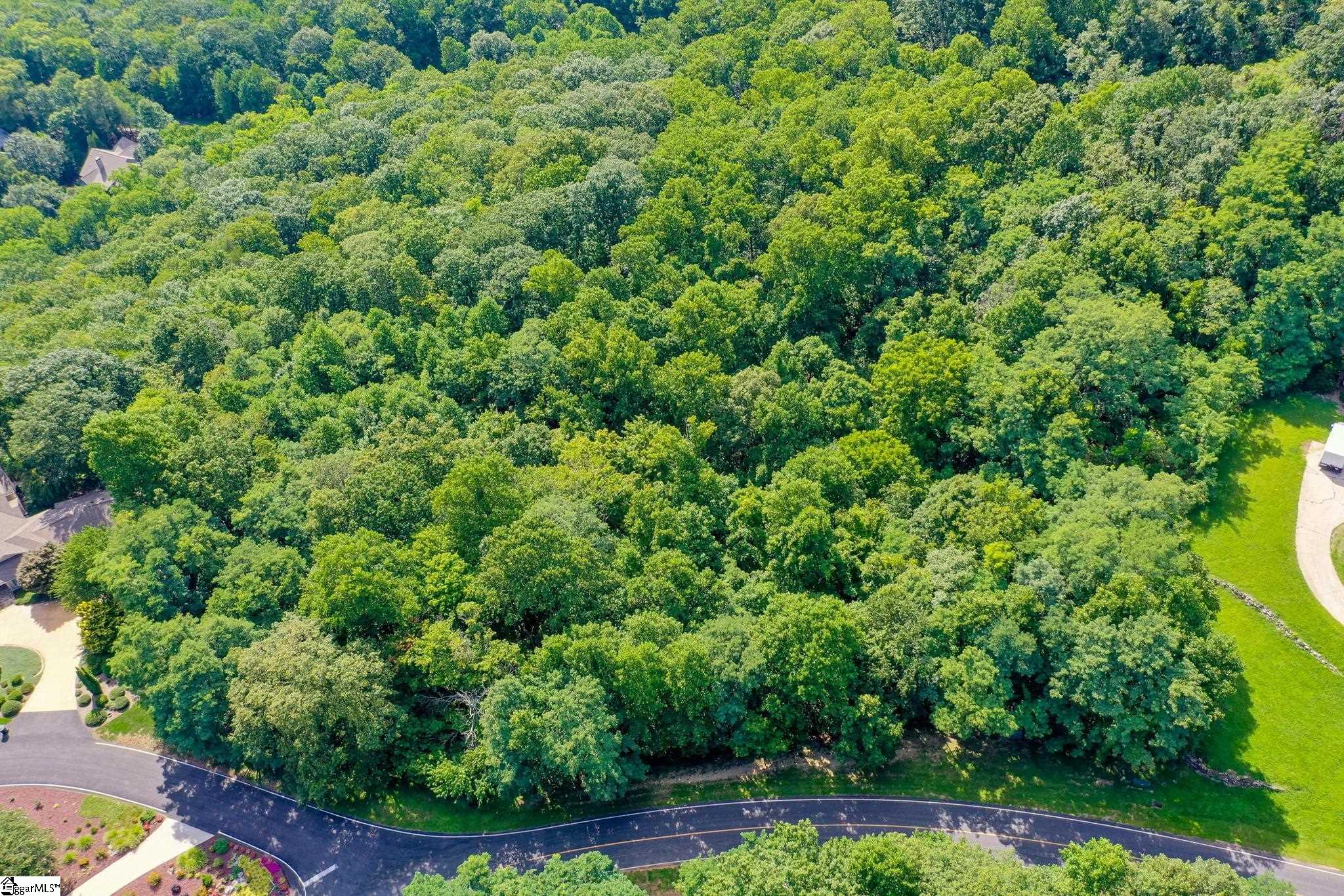 0 Moss Pink Way Landrum, SC 29356 - Photo 25 of 49