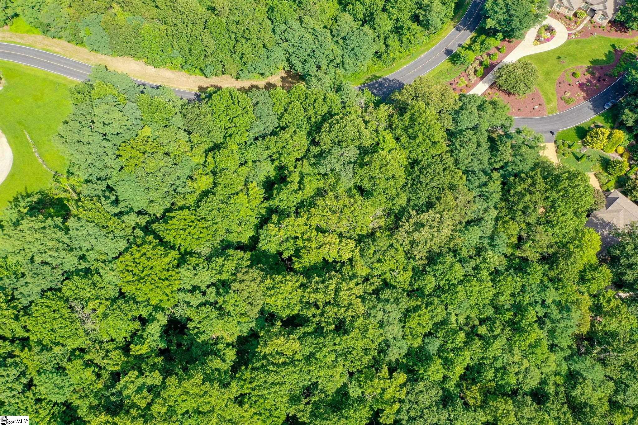 0 Moss Pink Way Landrum, SC 29356 - Photo 26 of 49