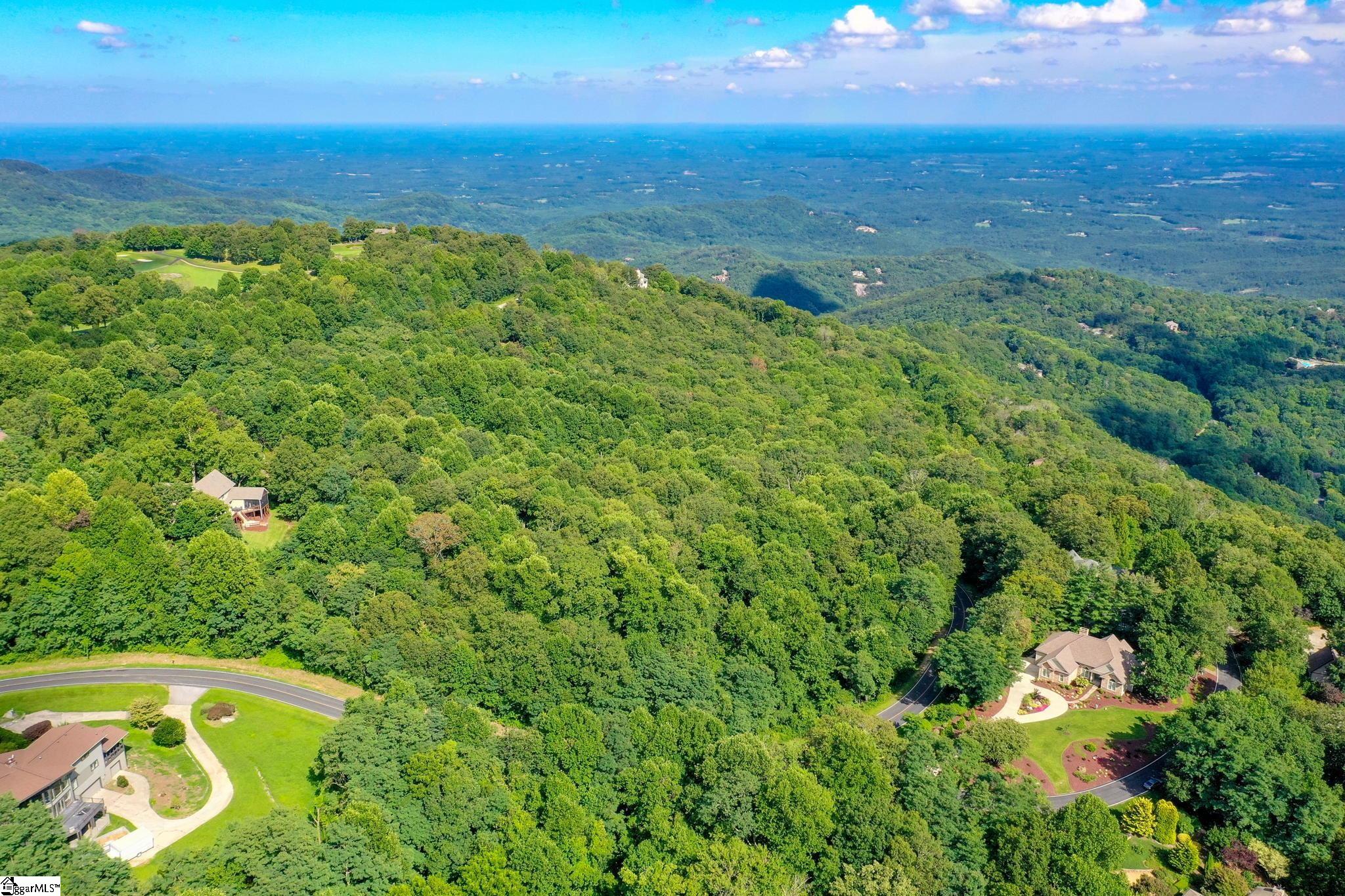 0 Moss Pink Way Landrum, SC 29356 - Photo 27 of 49