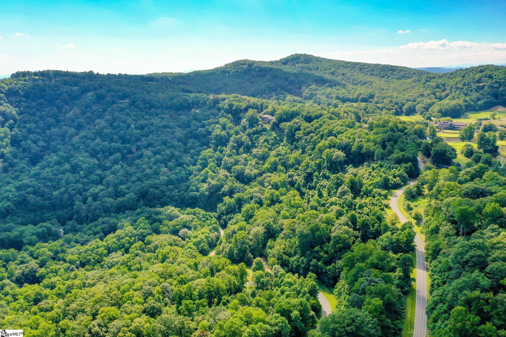 0 Moss Pink Way Landrum, SC 29356 - Photo 29 of 49