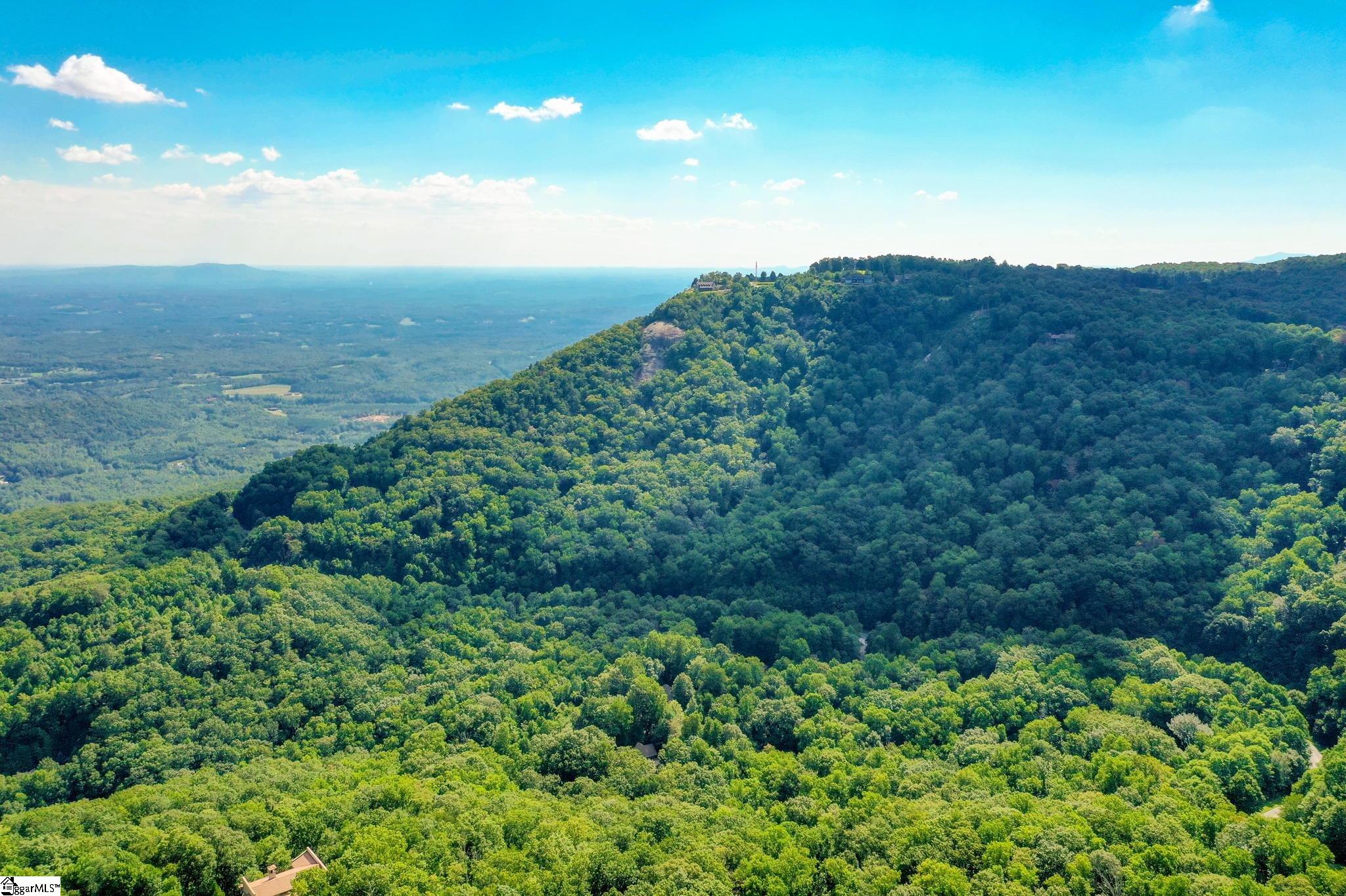 0 Moss Pink Way Landrum, SC 29356 - Photo 3 of 49