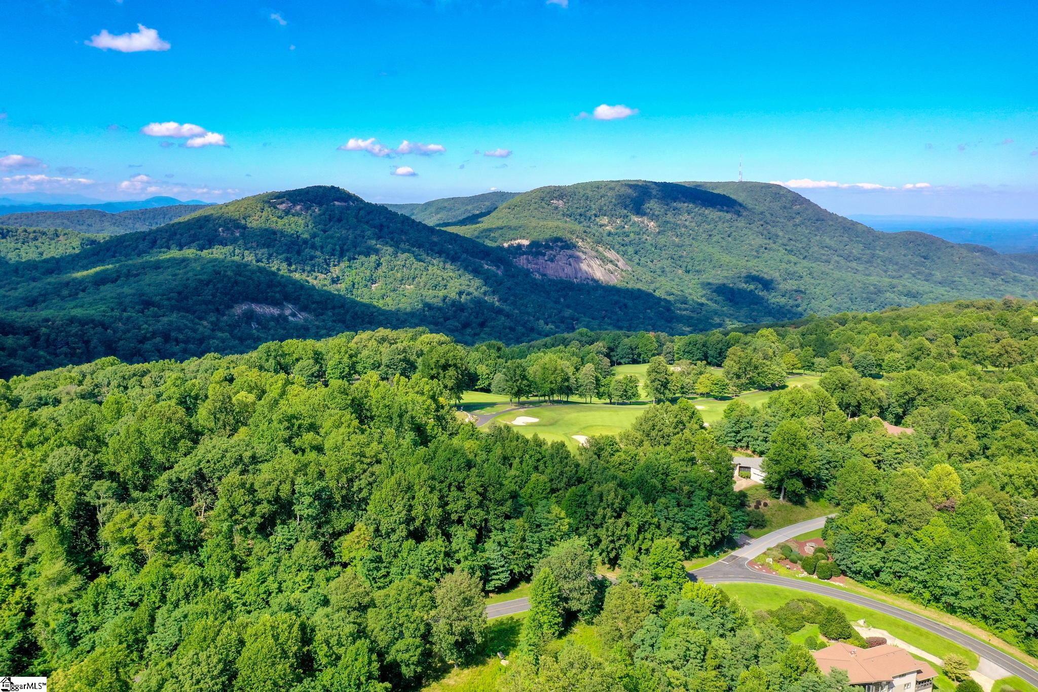 0 Moss Pink Way Landrum, SC 29356 - Photo 32 of 49