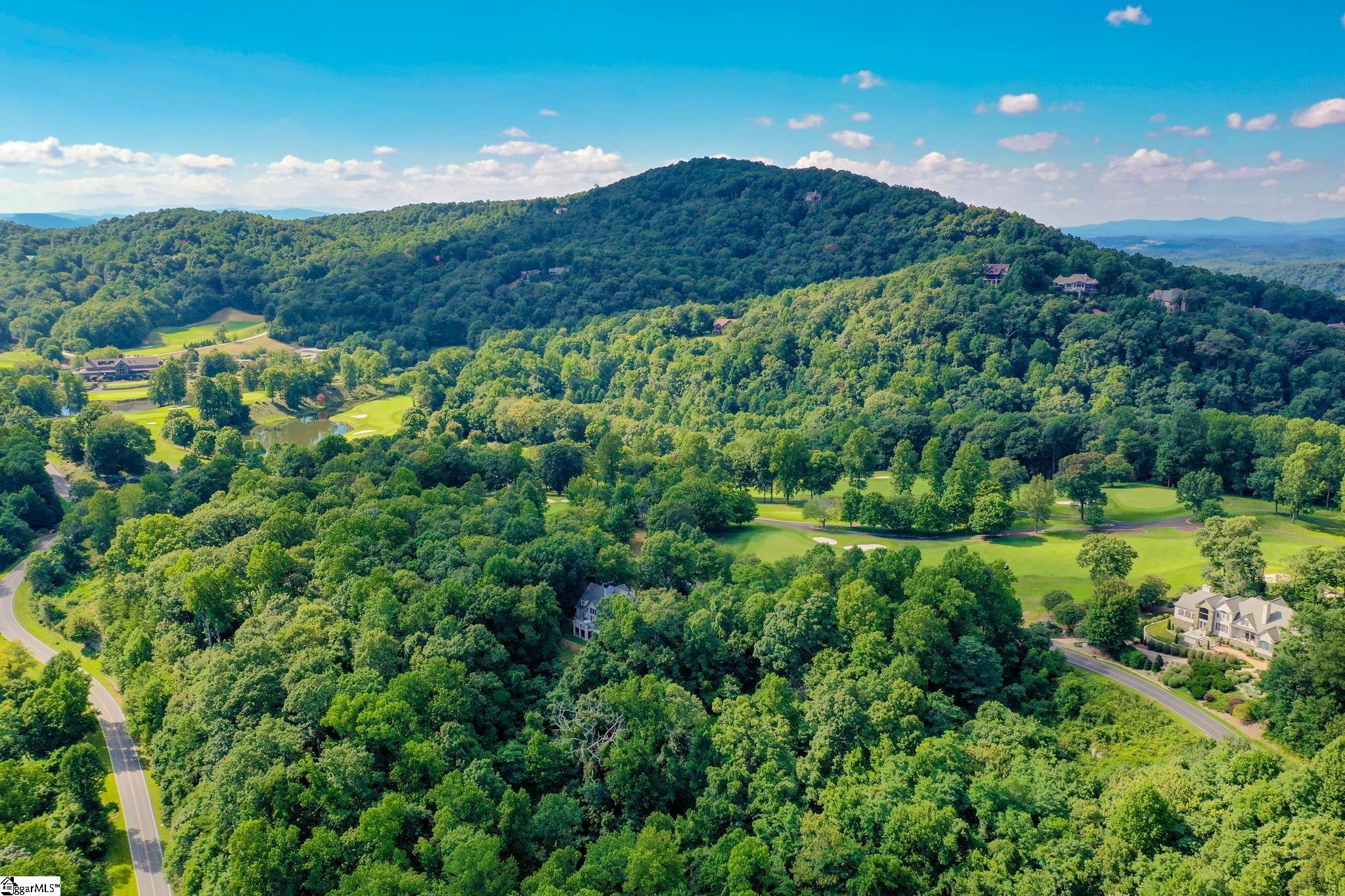 0 Moss Pink Way Landrum, SC 29356 - Photo 33 of 49