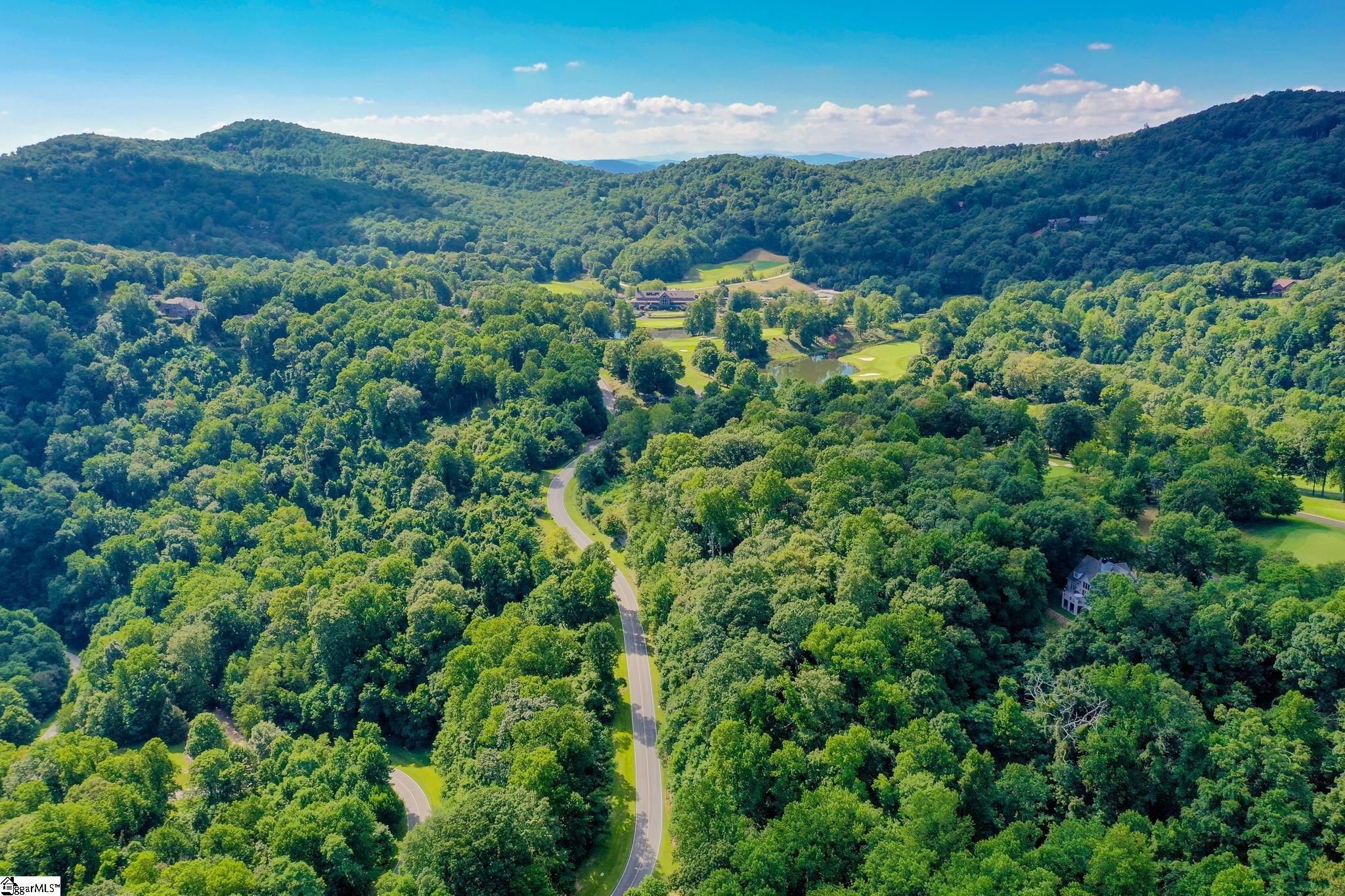 0 Moss Pink Way Landrum, SC 29356 - Photo 34 of 49
